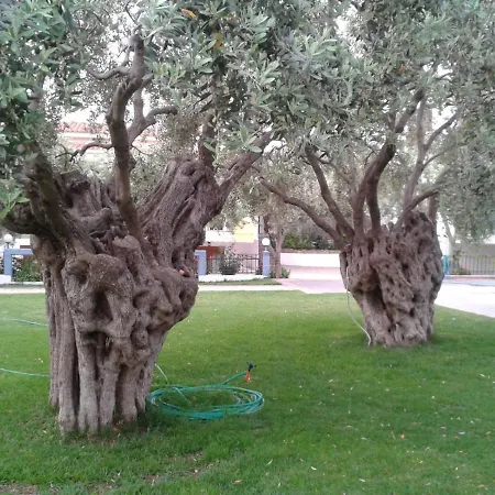 Makedonia Ξενοδοχείο με διαμερίσματα 4*